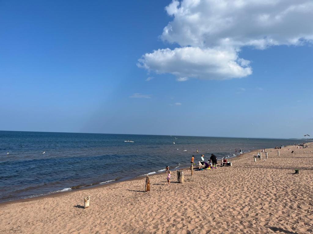View of the beach